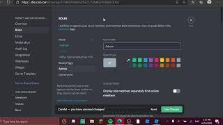 How to make someone an admin On Your Discord Server