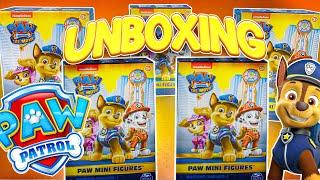 Paw Patrol Unboxing  Unboxing the rarest finds  Opening  Kids World