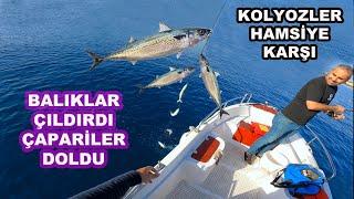 Kolyoz ve Akdeniz Hamsi’si Nasıl Yakalanır?..Biz Bu Çapari Avından Çok Keyif Aldık…