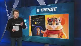 Hamster Kombat почему Людмила Путина и ее команда все это затеяла?  В ТРЕНДЕ