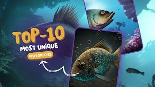 The Top 10 Most Unique Fish Exploring Fascinating Adaptations in the Underwater World
