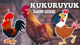 KUKURUYUK   Lagu anak terbaru Lagu ayam kukuruyuk  Lagu anak - anak