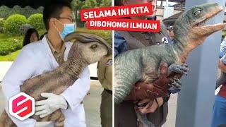 Katanya Sudah Punah Penampakan Dinosaurus Ini Bikin Gempar Orang-orang..