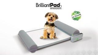 World’s First Self-Cleaning Indoor Potty for Puppies and Small Dog by BrilliantPad