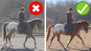 How To Get Your Horse On The Bit STEP-BY-STEP GUIDE