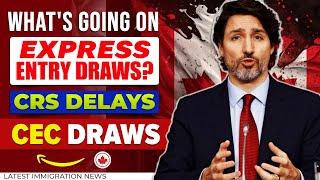 Express Entry Draws? CEC Draws & Low CRS Delays  Canada Immigration