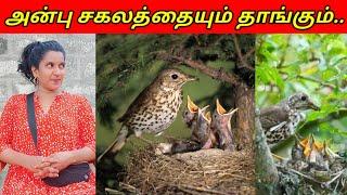 அன்பு சகலத்தையும் தாங்கும்..jolly vlogjaffna vlog