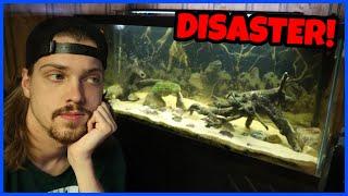 This Deadly Disease Killed My Fish...