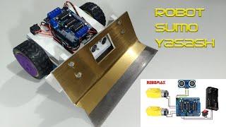 DIY Sumo Robot