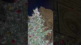 Florence Italy Christmas Tree Lighting 2022 