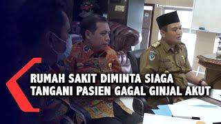 Rumah Sakit Diminta Siaga Tangani Pasien Gagal Ginjal Akut