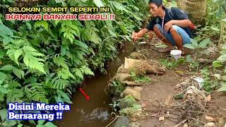 Mancing di selokan kecil sarang ikan wader strike bertubi tubi