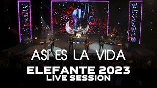 Asi es la Vida ELEFANTE 2023 Live Session