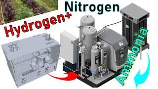 Ammonia electrolyzer with Nitrogen extraction and electride catalyst