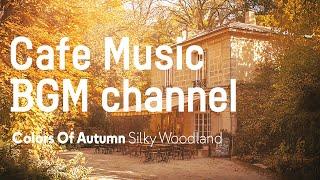 Cafe Music BGM channel - Silky Woodand Official Music Video