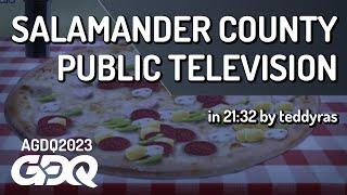 Salamander County Public Television by teddyras in 2132 - Awesome Games Done Quick 2023