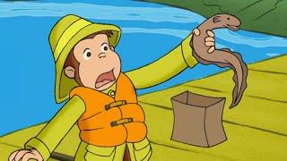 Curious George George and The One that Got Away  Kids Cartoon  Kids Movies  Videos For Kids