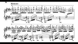 Wagner-Brassin - Feuerzauber Magic Fire from Die Walküre - Cyprien Katsaris Piano