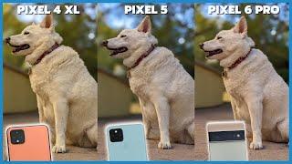 Google Pixel 6 Pro vs Pixel 5 vs Pixel 4 XL Camera Comparison  December camera update