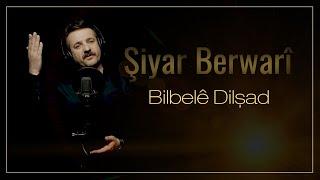 Şiyar Berwari -  Bilbilê Dilşad  شيار برواري