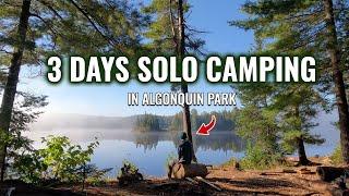 I Spent 3 Days Solo Camping in Algonquin Park