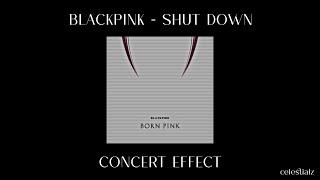 blackpink - shut down concert effect w fans