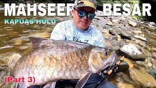 MANCING MANIA IKAN MAHSEER TERBESAR DI SPOT PALING EKSTRIM - KAPUAS HULU Part 3 