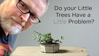 Bonsaify  The Little Problem with Little Bonsai