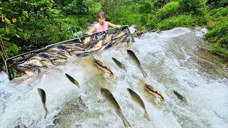 Girl makes fish trap from plastic fruit basket unexpectedly harvests 30kg of different fish