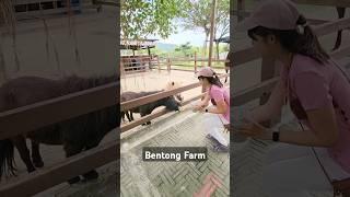 When you need an extra dose of animal love. Bentong Farm Pahang Malaysia. #animals #animal