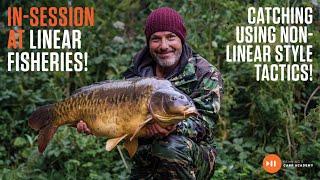 FREE FILM  Adam Penning In Session at Hardwick Smiths Linear Fisheries