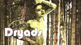 Dryads Tree Spirits - Greek Mythology