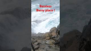 Bass less bassy place #fishing #bassfishinglures #fish #bassfishing