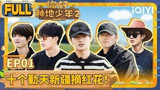 【EP1】十个勤天新疆摘红花！鹭卓陈少熙自由逐风  你好种地少年2 FULL  Hi Young Farmers S2  iQIYI综艺