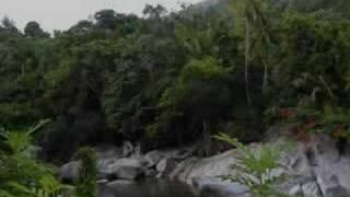 Taino Symbols of Puerto Rico Petroglyphs Simbolos