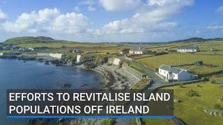 Efforts to revitalise island populations off Ireland