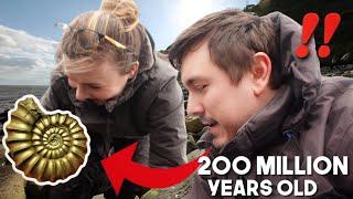 I Went FOSSIL Hunting on the Jurassic Coast of England 