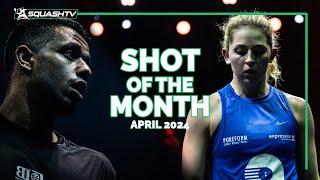 Squash Shots of the Month - April 2024 