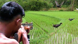 2 HARI BERBURU BURUNG SAWAH & TUPAI LIAR_hunting struggle in the rainy season