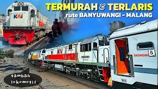 KENAPA KERETA INI TAK PERNAH SEPI?? Perdana Naik Kereta Tawang Alun dari Ketapang ke Malang