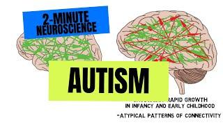 2-Minute Neuroscience Autism