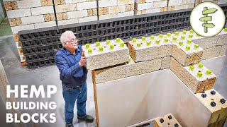 Amazing Lego-Style HEMP BLOCKS Make Building a House Quick Easy & Sustainable