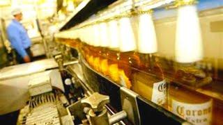 How Corona Beer Is Made You Wont Believe What Happens During This FanTECHstic Process