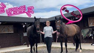 Rehab 4.0 and Pea is back  update vlog on the horses