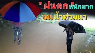 สมกับที่รอคอย. ฝนตกจนน้ำท่วมที่นา.1072024