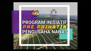 PRE PRIHATIN Pengusaha Nanas