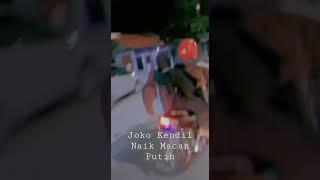 Joko Kendil Naik Gojek  Joko Kendil Naik Macan Putih