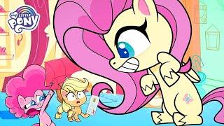 NEW Fluttershy Best Moments  MLP