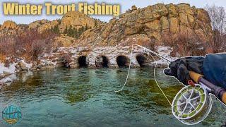 Fly Fishing Harsh Conditions For Trout First Fish of 2024