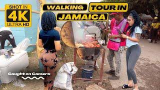 ️Walking Tour DENBIGH AGRICULTURAL SHOW 2023 Largest Agricultural Expositions In The Caribbean 4K